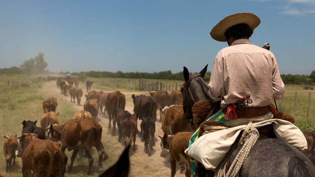 empleo, ganadería, trabajador rural