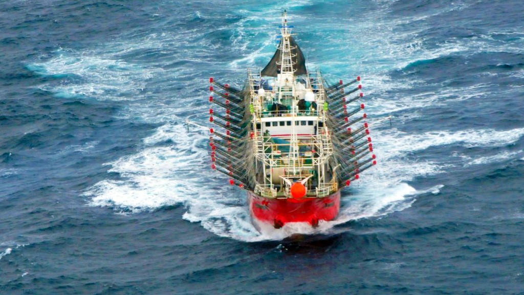 pesquera, barco pesquero, buque pesquero, marina mercante