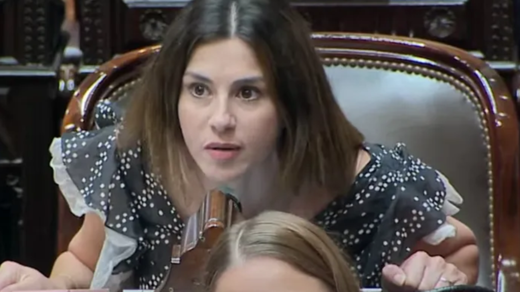 Pagano dijo inspirarse en la gestión de institutos de Europa e Israel.