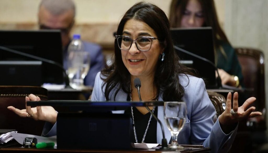 Estatuto del Periodista, Carolina Moisés